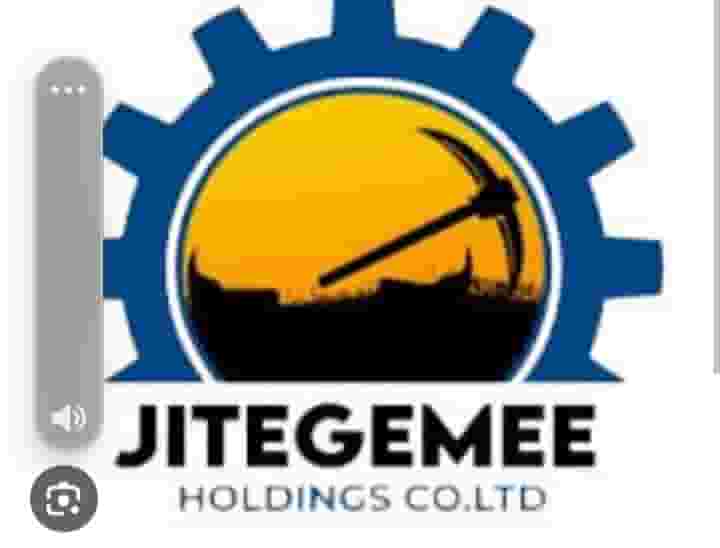 Jitegemee holding Company Tanzania Limited, Jobs in Tanzania