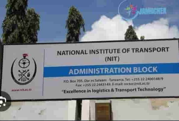 NIT Jobs Opportunities 2024