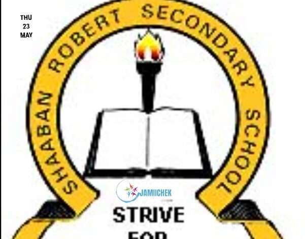 Image shows Shabaan Robert Secondary logo