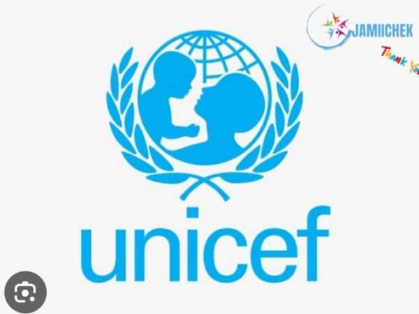 UNICEF Jobs Vacancies