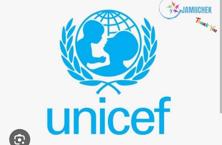 UNICEF Jobs Vacancies