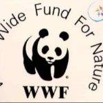 World wildlife Fund (WWF)