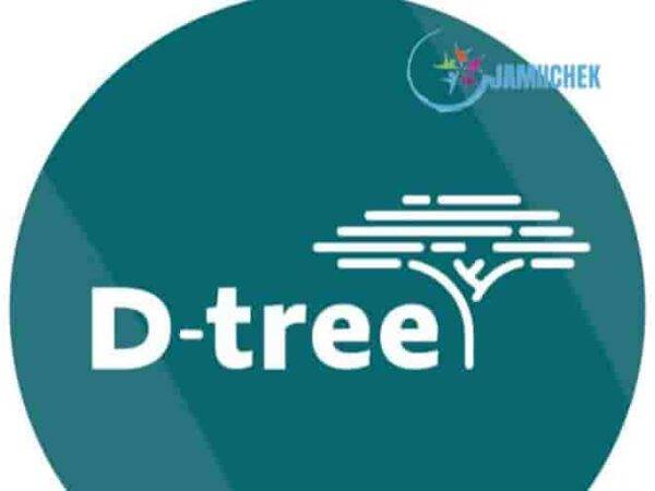 D-tree Jobs Opportunities