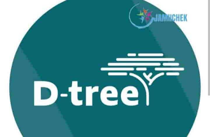 D-tree Jobs Opportunities