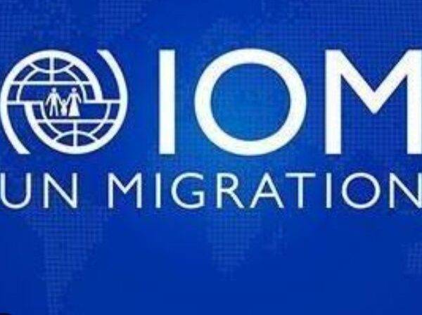 IOM Tanzania Jobs in Tanzania