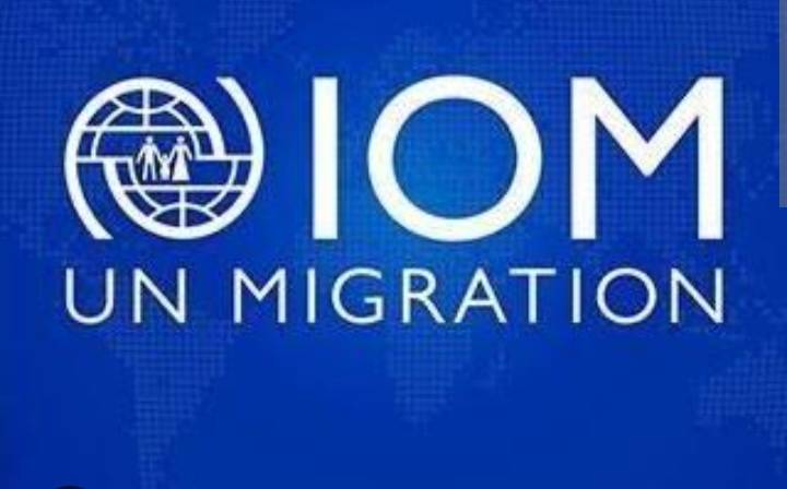 IOM Tanzania Jobs in Tanzania