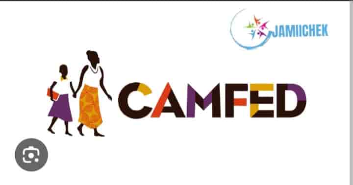 CAMFED TANZANIA Opportunities 2024, Finance