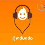 Curation and Music database Management: Mdundo.com