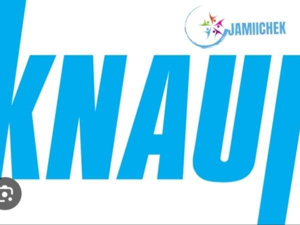 Knauf Tanzania Jobs Vacancies2024