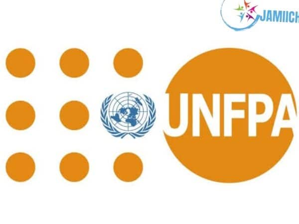 UNFPA Tanzania Jobs Vacancies2024