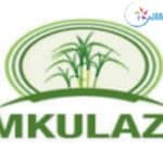 Mkulazi holding Company Limited