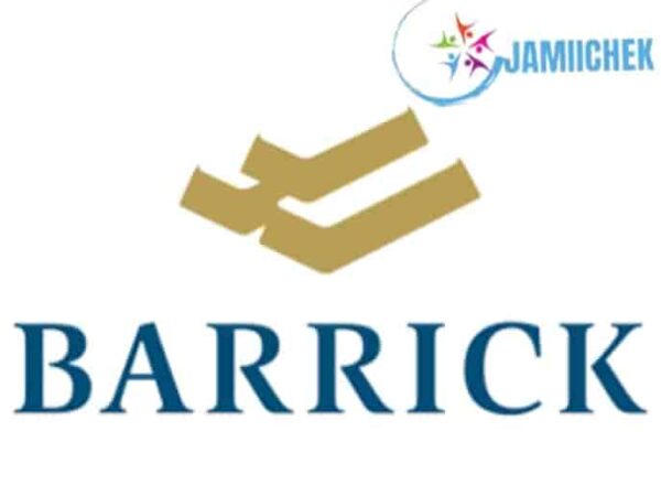 Boilermaker: Barrick Jobs Vacancies2024: Graduate Electrical Engineer, Electrician, Jobs in Tanzania