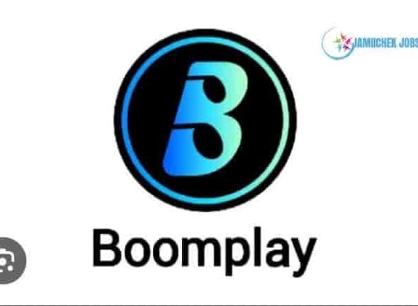 Boomplay Tanzania: Digital Ads Sales Manager