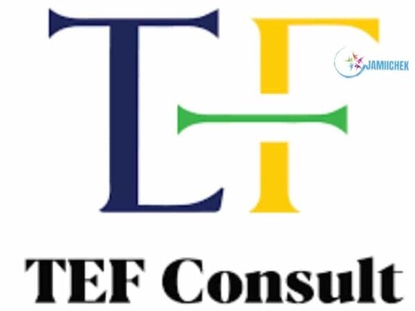 Tanzania Empowerment Forum (TEF Consult)