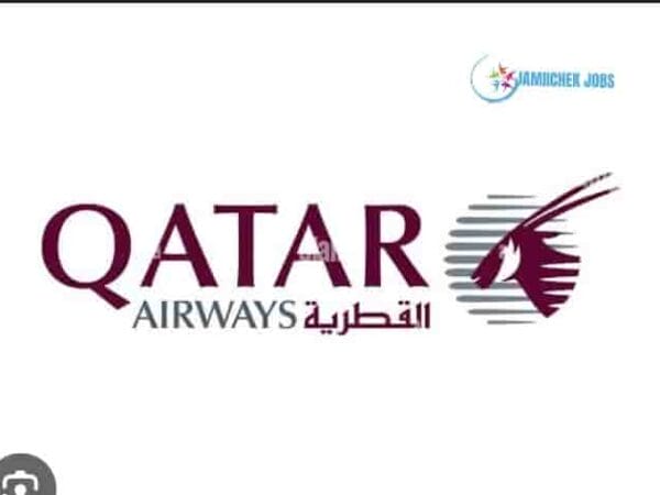 Qatar Airways; Sales Operations Coordinator Jobs in Tanzania, Jobs in Dar es Salaam