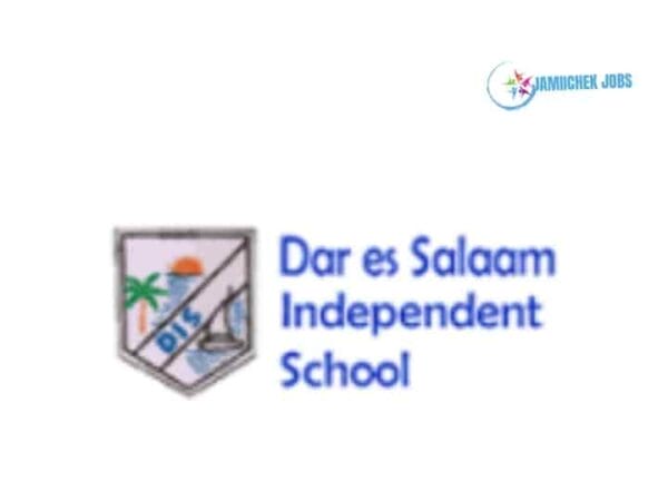 Dar es Salaam Independent School, Teaching Jobs