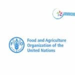 Food and Agriculture Organisation (FAO)