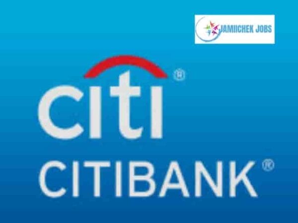 Citi Bank Tanzania; Senior Auditor, Jobs in Dar es Salaam