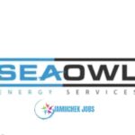 Seaowl Tanzania, Jobs in Tanzania