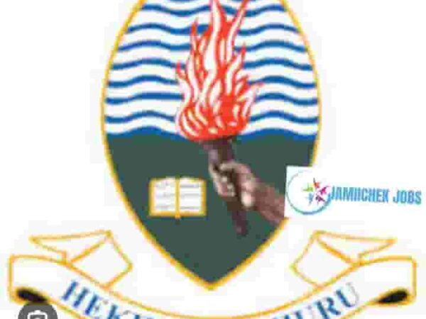 Mkwawa University College of Education (MUCE) Jobs in Tanzania