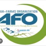 AFO Tanzania, Jobs in Tanzania