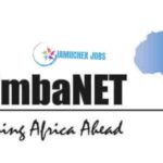 Simba Net, Jobs in Tanzania