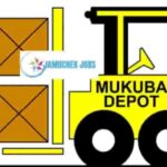 Zambia Logistics Company Limited, Jobs in Tanzania