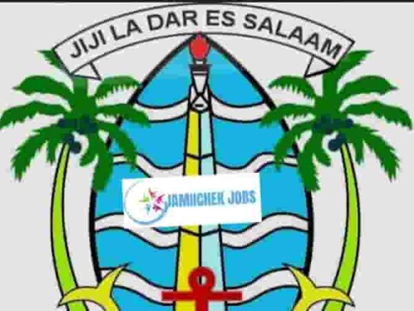 Dar es Salaam City Council (DCC), Jobs in Tanzania