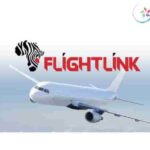 Flight Link Tanzania