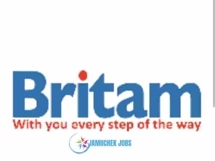 Internal Audit Manager at Britam Insurance, Dec2024