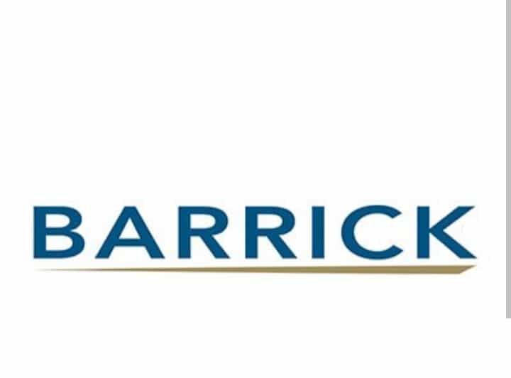 Carpenter at Barrick Tanzania