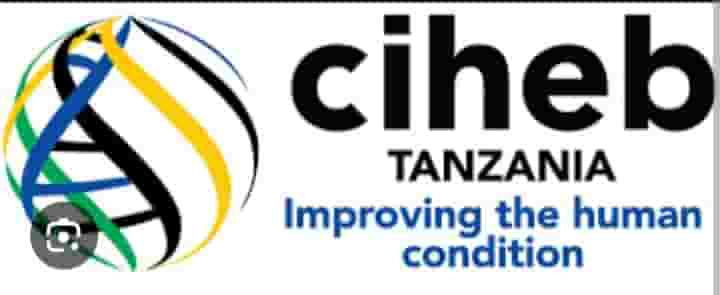 Project Accountant at CIHEB